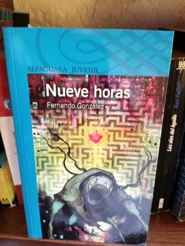 Nueve Horas -- Fernando Gonzalez