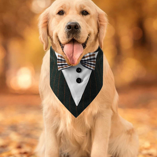 Bandana Para Perros Bandanas Grandes Para Perros Bufanda De