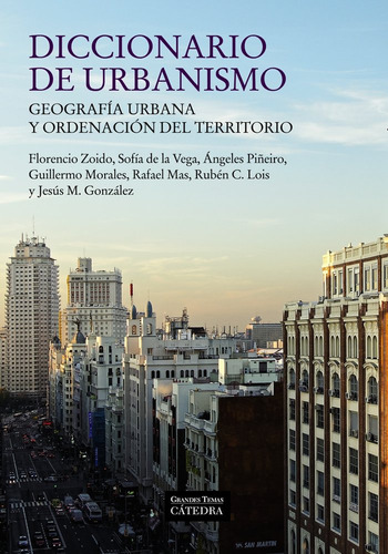 Libro Diccionario De Urbanismo - Zoido, Florencio