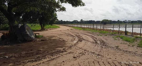 Imagen 6 de 28 de Finca En Venta Guarico