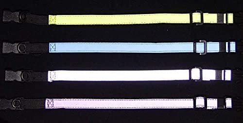 Collar Gato Elástico Seguro (azul)
