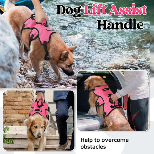 Arnés Antiescape Para Perros Rabbitgoo, Con Reflectores, Xl