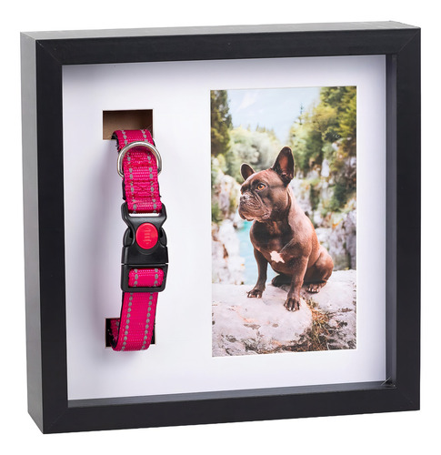 Marco Conmemorativo Para Fotos Otterpets Para Mascotas Con C