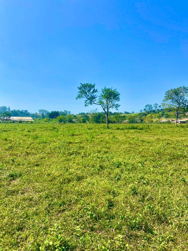 Imagem 8 de 13 de W35 Terreno 1000m Financiamos Direto Com Voce Leia Descrição