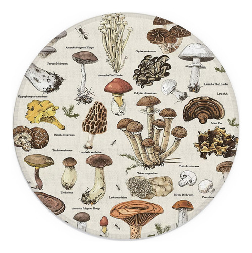 Udinaz Vintage Mushroom Gráfico Educativo Ronda Alfombrilla 
