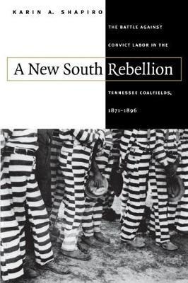 A New South Rebellion - Karin A. Shapiro