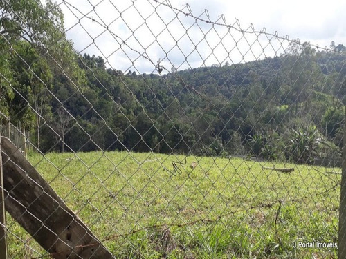 Imagem 7 de 30 de Chacara - 394 - 34234628