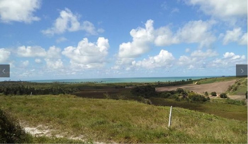 Imagem 5 de 13 de Terreno À Venda Na Loteamento Praia Bela Lote 48 , Quadra 71, Praia Bela , Pitimbu - Pb - Liv-11866