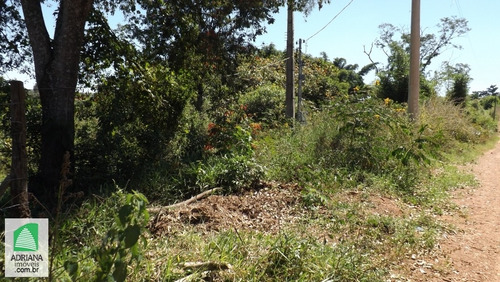 Venda Chácara De Lazer Bem Localizada - 3969