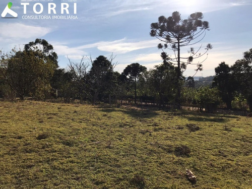 Imagem 10 de 15 de Chácara Em Itapetininga - Ch00263 - 68204863