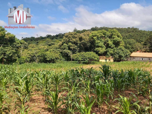 Imagem 27 de 30 de Linda Chácara Com 05 Dormitórios, Piscina, Área Gourmet, Pomar, Ótima Localização, À Venda, 9000 M² Por R$ 500.000 - Zona Rural - Pinhalzinho/sp - Ch0851