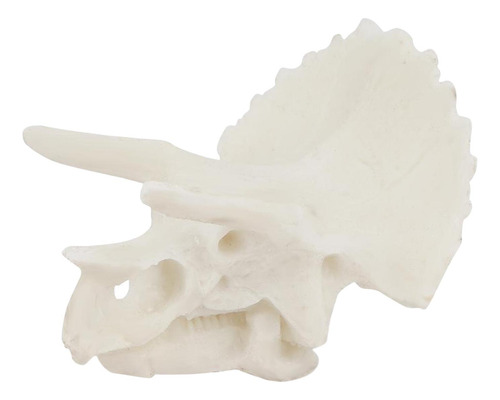 Decoración De Acuario De Resina Cráneo De Triceratops