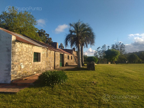 Imagen 14 de 15 de Chacras Financiadas En Aiguá - Maldonado