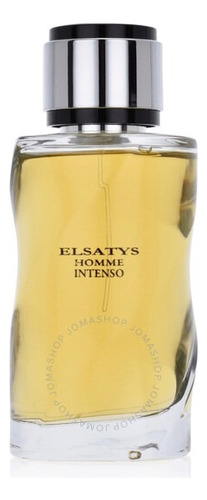 Perfume Reyane Tradition Men's Elsatys Homme Intenso Origina