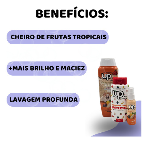 Kit Up Clean Tropical Shampoo + Condicionador + Perfume