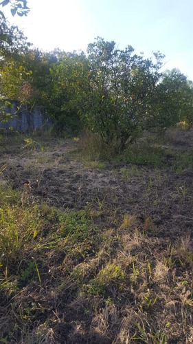 Imagen 8 de 8 de Terreno En Allende Nl