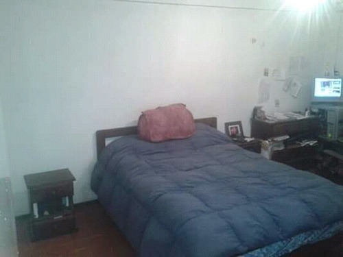 Imagen 9 de 11 de Departamento En Venta En San Antonio De Padua Norte