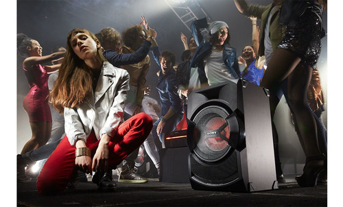 Imagen 5 de 8 de Sony Minicomponente Con Dvd Shake-x30d