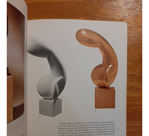 Constantin Brancusi. Eric Shanes. Abbeville Modern Masters (Usado)
