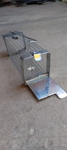 Trampa Jaula Raton Pequeño