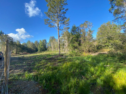 Hermosa Parcela Con Abundante Bosque Nativo