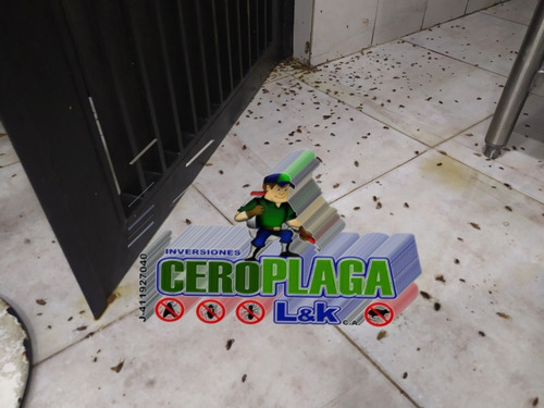 Imagen 2 de 5 de Servicio De Fumigacion Chiripas Cucarachas Termitas Pulgas