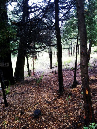 Terreno Lote En Venta Ubicado En Villa Lago Gutierrez, Bariloche