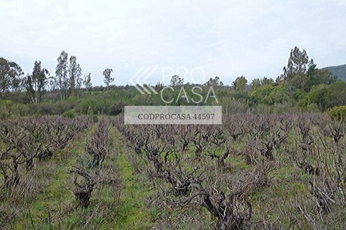 Imagen 5 de 5 de Sitio Bellavista - Villa Alemana En La V Región/quebrada Es