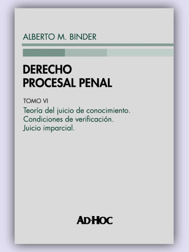 Derecho Procesal Penal / Obra Completa (rust.) - Binder