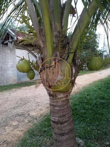 Imagem 6 de 30 de Chácara À Venda Em Condomínio No Chácaras Rurais Em Jacarei - Sp (oportunidade) - 3507