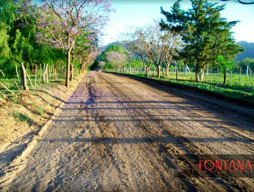 Lote | Ruta Nacional N° 20