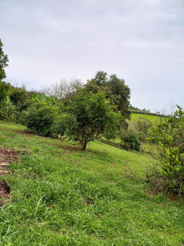 Imagem 9 de 30 de Chácara 28.340m2, Rica Em Água Com Açude, Árvores Frutíferas, Casa Sede Com 182m2, 2 Dormitórios, 1 Suíte, Curral, Pomar, Pasto, Poço Caipira - Ch00201 - 70578843