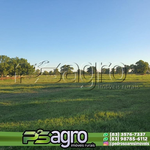 Imagem 10 de 15 de Fazenda À Venda, 150000000 M² Por R$ 300.000.000 - Centro - Mato Grosso Do Sul - Fa0249