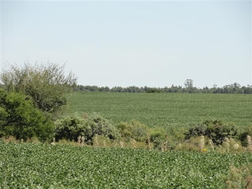 Campo En Venta En Solís De Mataojo