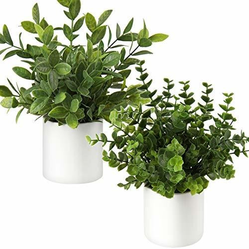 Conjunto De 2 Mini Plantas Falsas De Eucalipto Y Romero