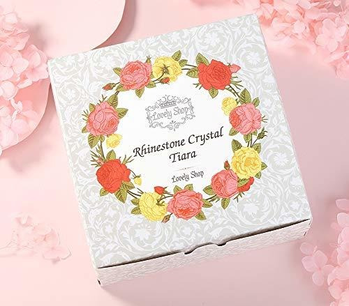 Tiara De Aleación Lovelyshop Royal Crystal Princess Para Bod