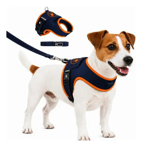 Coleira Peitoral Pet Finess Cachorro gato Tamanho 1 Marinho Laranja com Guia Confortável