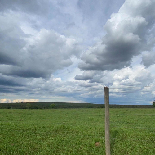 Imagem 6 de 9 de Fazenda Dupla Aptidão Município Campina Verde