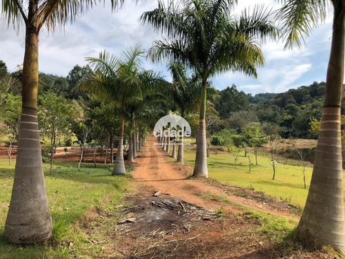 Imagem 14 de 30 de Terreno Em Condomínio À Venda, Área Rural - Boa Vista Da Aparecida/pr - 11953