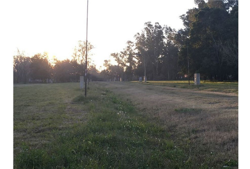 Terreno En Villa Elisa, Nivelado Y Desforestado