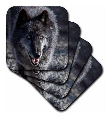 3drose Black Rocky Mountain Gris Lobo Juego De 4 Posavasos D