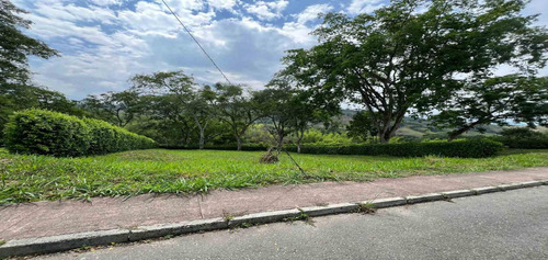 Lote En Venta En Km 41- Caldas (279057670).