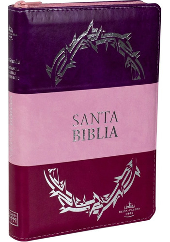 Biblia Reina Valera Letra Grande Violeta Y Rosa