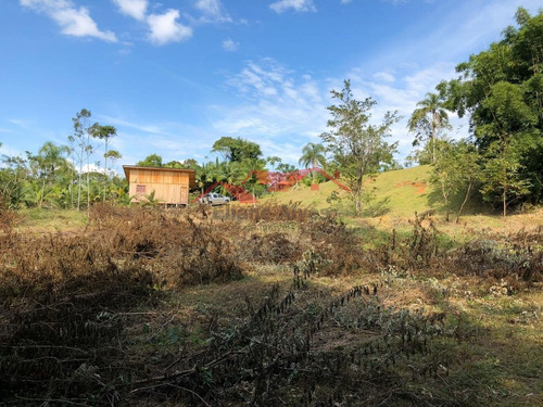 Imagem 9 de 15 de Chácara Em Canelinha - Canelinha, Sc - 129