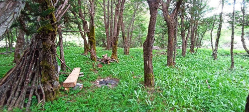 A 16 Km De Rio Tranquilo, Campo 100 M2 Orilla De Rio.