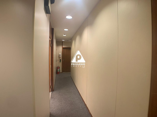 Imagem 12 de 17 de Sala À Venda, Centro - Rio De Janeiro/rj - 26366