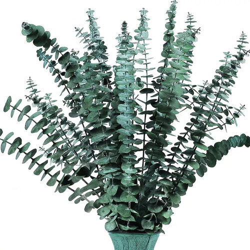 15 Folhas Secas Eucalipto Arranjo Flores Pequeñas