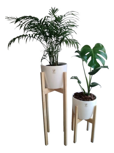 Combo Palmera + Monstera Planta Costilla + Pie Nórdico Pino