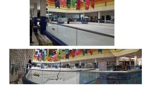 Imagen 4 de 9 de Se Vende Pista De Hielo, Cd Juarez