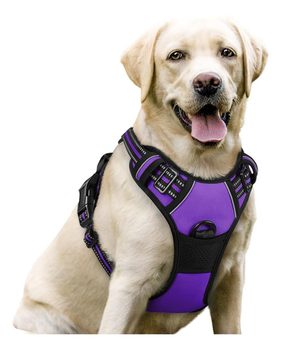 Arnés Para Perro Rabbitgoo No Tirar Ajustable Con 2 Clips L